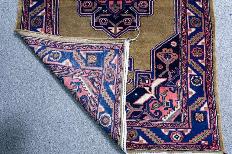 Simply Beautiful Persian Kolyaee 3.5x5.0