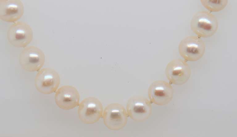 7mm Fresh Water Pearl Necklace