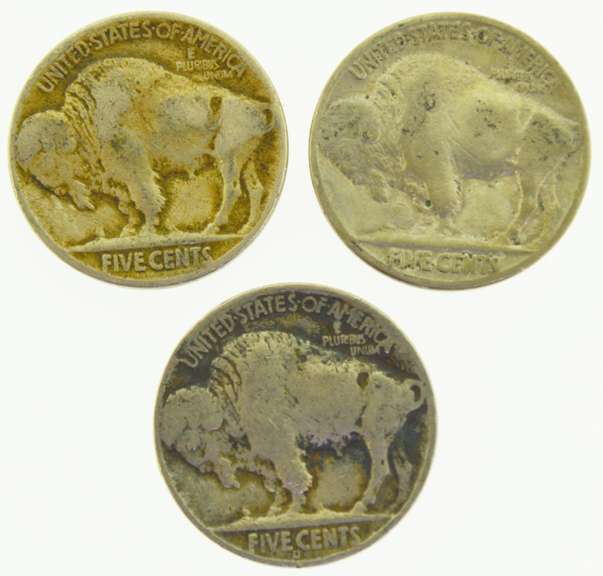 1900's Indian Head Buffalo Nickel Set, lot of (3) US Coins