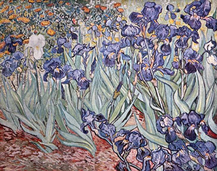 Vincent Van Gogh, Irises