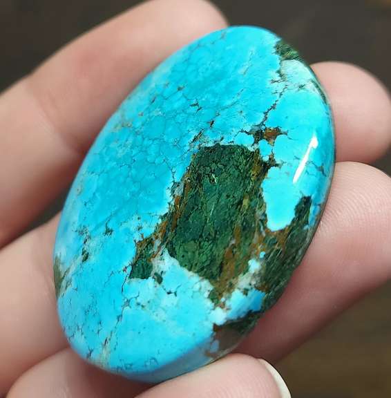 Striking well marbled 92.5ct Turquoise cabochon