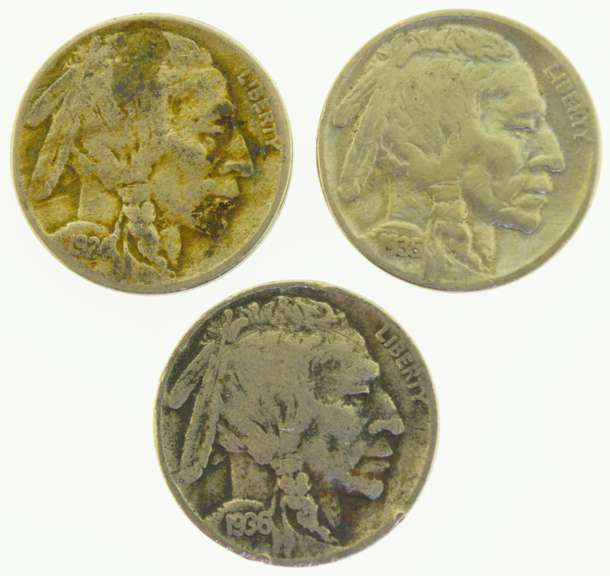 1900's Indian Head Buffalo Nickel Set, lot of (3) US Coins