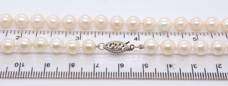 Elegant Fresh water Pearl Necklace