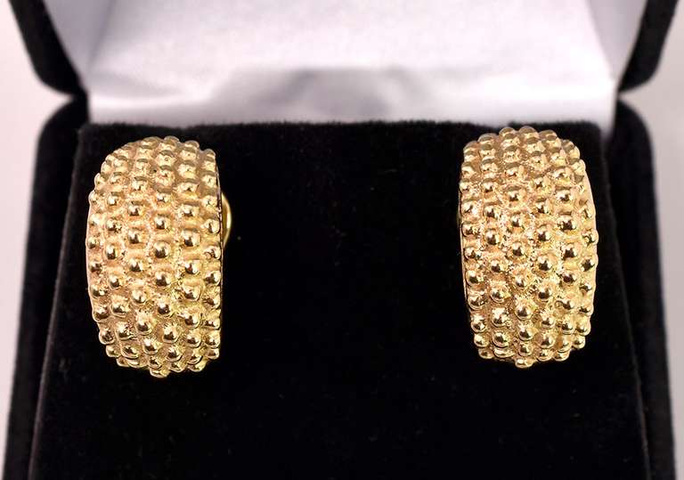 Stunning Studded Hoop Earrings in 14K Yellow Gold
