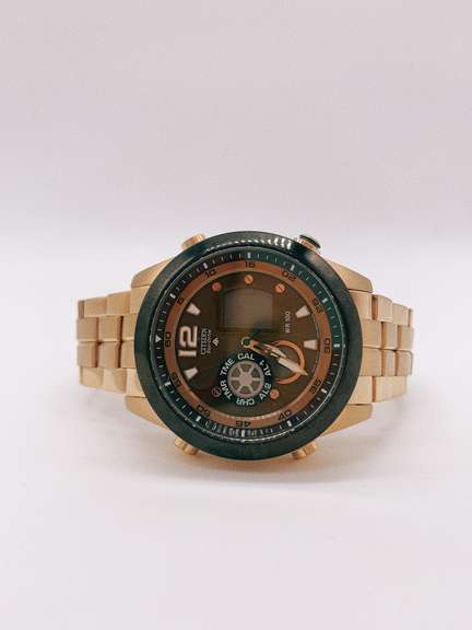 Citizen Eco-Drive Gold Tone Black Bezel Watch