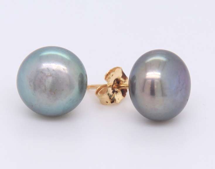 14kt Yellow Gold Grey Button Pearl Stud Earrings