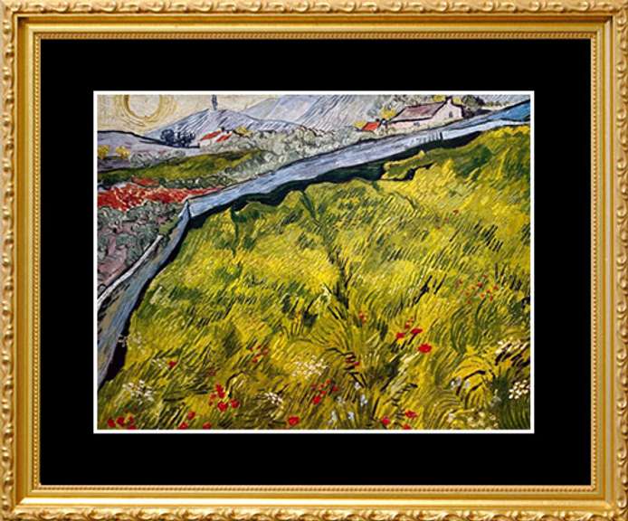 Vincent Van Gogh, The Enclosed Field