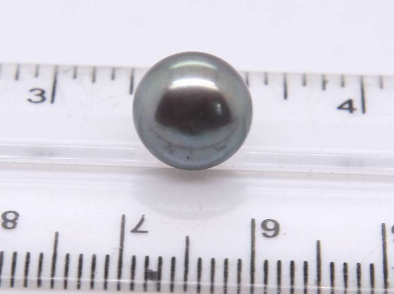 14kt Yellow Gold Grey Button Pearl Stud Earrings