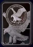 2021-W Proof Eagle S$1 Type 2 NGC PF70 Ultra Cameo.