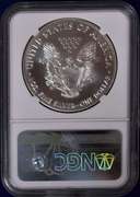 2017-(S) American Silver Eagle NGC MS70