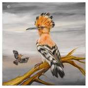 Happy Hoopoes
