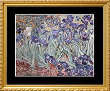 Vincent Van Gogh, Irises