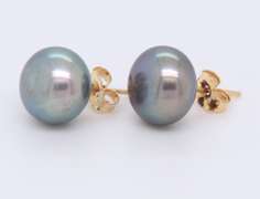 14kt Yellow Gold Grey Button Pearl Stud Earrings