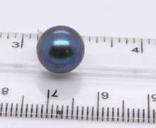 Nice White Gold Peacock Pearl Stud Earrings