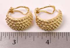 Stunning Studded Hoop Earrings in 14K Yellow Gold