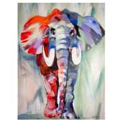 Coloured wildlife