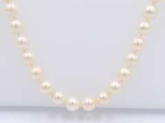 Elegant Fresh water Pearl Necklace