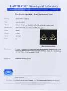Dazzling Yellow Gold Diamond Spray Earring Jackets