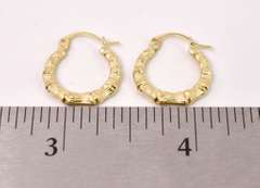 Precious Hoop Earrings in 14K Yellow Gold