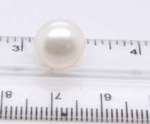 14kt Yellow Gold Button Pearl Stud earrings