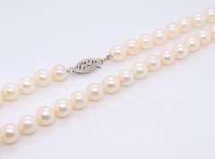 Elegant Fresh water Pearl Necklace