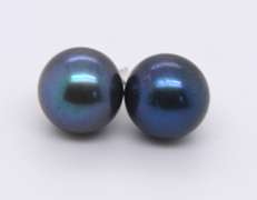 Nice White Gold Peacock Pearl Stud Earrings