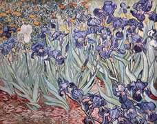Vincent Van Gogh, Irises