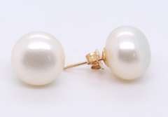14kt Yellow Gold Button Pearl Stud earrings