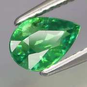 Collectors 1.03ct vivid kelly green Tsavorite Garnet
