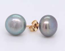 14kt Yellow Gold Grey Button Pearl Stud Earrings