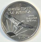 Awesome Superb Gem BU 2002 pure Platinum $10 Eagle coin