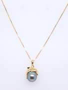 Stunning Yellow Gold Tahitian Pearl Dolphin Pendant on Chain
