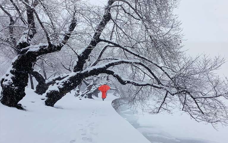 Matted DC Photograph Signed