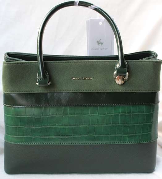 Eye Catching Designer Bag By David Jones-Paris