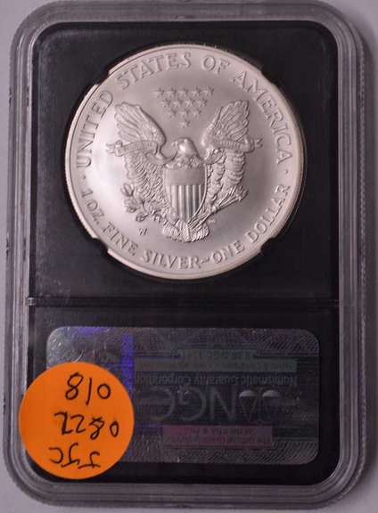 2007-W Burnished Silver Eagle NGC MS69