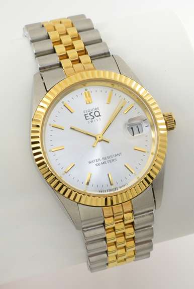 Quality Two-Tone Men's ESQ Swiss Quartz Watch