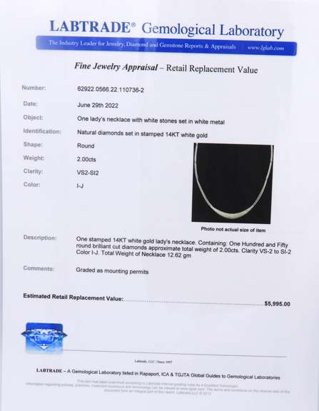 The Most Incredible White Gold Pave Diamond Collar Necklace