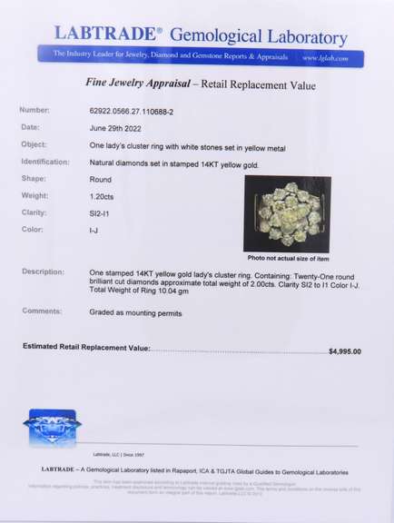 Pleasing Yellow Gold 2ctw Diamond Cluster Ring