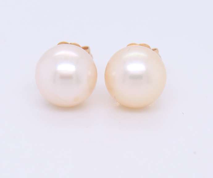 Simple Yellow Gold 7.5mm Pearl Stud Earrings