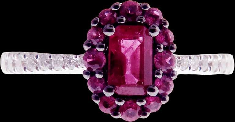 Exotic Crimson Ruby Halo Ring flanked with Diamonds on an 18k White Gold Band