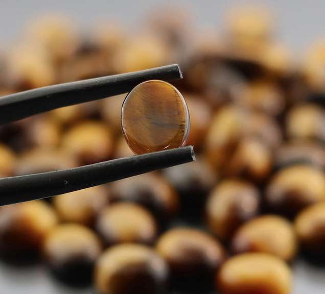A sea of shimmer! 199.67ct Golden Tiger Eye cabochon set