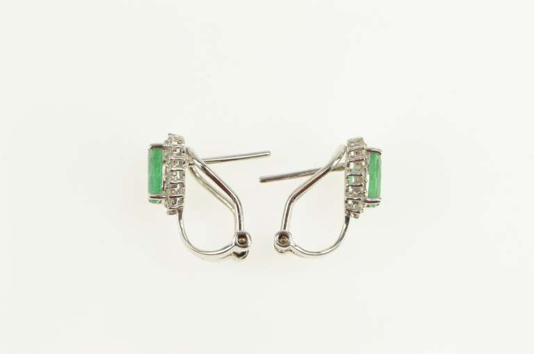 14K White Gold 2.00 Ctw Natural Emerald Diamond Halo Earrings