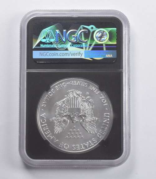 MS70 2018-W American Burnished Silver Eagle FDOI NGC