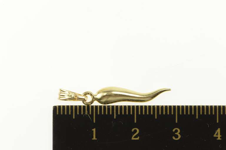 14K Yellow Gold Trad. Italian Horn Spiritual Protection Charm/Pendant