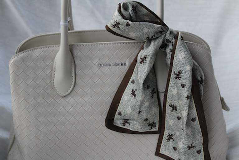 An Eye-catching Designer Bag By David Jones-Paris