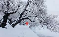 Matted DC Photograph Signed