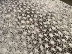 Stunning Modern Design Rug 6x8