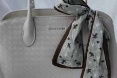 An Eye-catching Designer Bag By David Jones-Paris