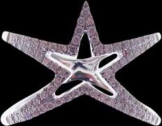 Amazing Diamond Studded 18k White Gold Star Ring