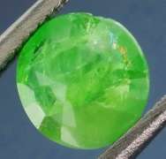 Top kelly green! .94ct Tsavorite Garnet